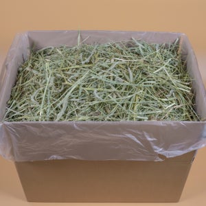 대용량 티모시 건초 압축 캐나다산 1번초 5kg 10kg