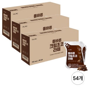 비락 올바른 크림초코 라떼 110ml, 54개
