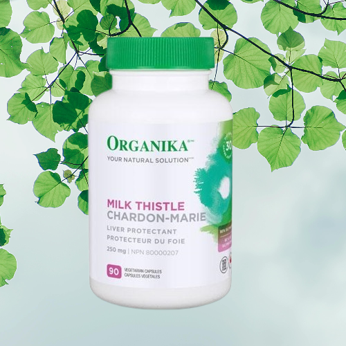 <b>오가니카</b> 올가니카 밀크씨슬 250mg 90정 간편한 <b>간</b> 건강 관리 밀크시슬