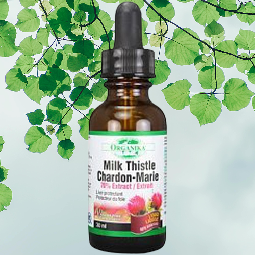 <b>오가니카</b> 휴대용 액상 밀크씨슬 30ml 간편한 <b>간</b> 건강 관리 스포이드형