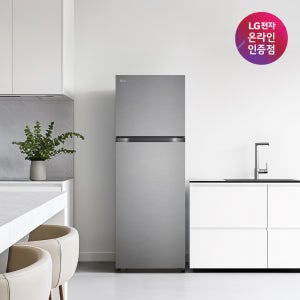 LG 일반냉장고 B245DS22