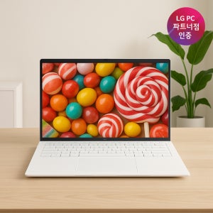 LG그램 14 16GB 256GB 가벼운 대학생 사무용 인강용 노트북