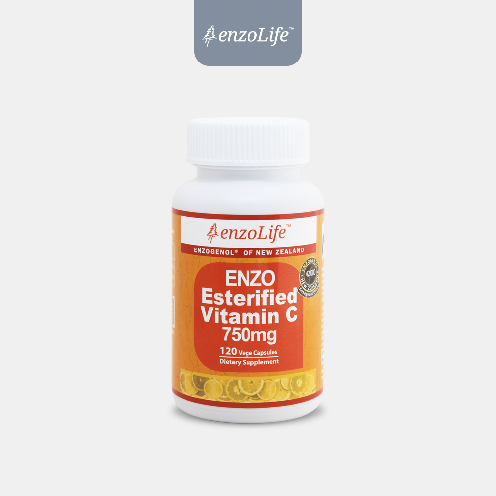 <b>엔조라이프</b> 지연형 에스테리파이드 <b>비타민C</b> 750mg 엔조제놀 120캡슐, 1개