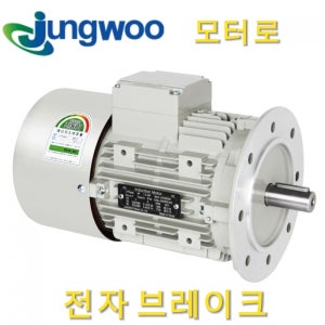 DC브레이크부착형모터 0.4KW 4P 220/380V DC전자브레이크부착형 정우모터 정우전기 반마력 B5