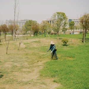 충청남도 공주시 태양광예초 산소묘지관리 예초대행 잡초제거 화단정리 마당풀깎기 정원관리