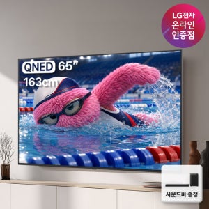 중복쿠폰 LG전자 QNED 4K 대형 TV 사운드바 포함 65QNED75AEA (163cm), 벽걸이