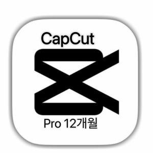 캡컷 프로 개인 연간구독권 12개월 CapCut Pro 이용권 구독