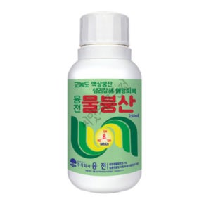 물붕산 250ml 고농도 액상붕산 생리장해 미량요소