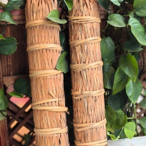 90년대 용주 보이차 생차 순건창 연꽃향 노차 3500g