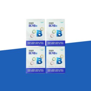 [8개월분] 진정주 메가B 정 비타민B (4박스)