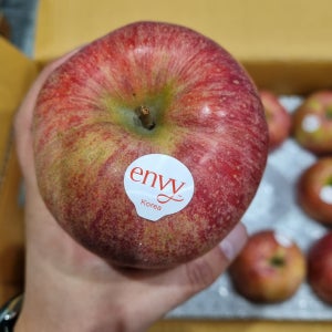 대과 가정용 nb 엔비 예산 사과 15.9Brix, 2kg, 1개