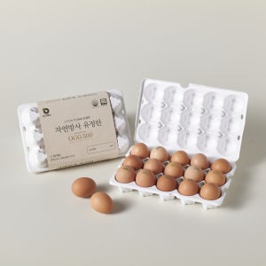 난각번호1번 오그레잇 자연방사 유정란 무항생제 DHA 신선계란 대란이상 15구, 2개