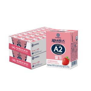 연세우유 세브란스 전용목장 A2단백우유 딸기, 125ml, 48개
