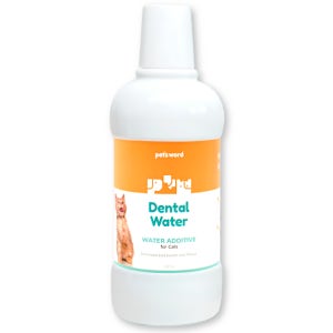 펫츠워드 덴탈 워터 500ml 고양이 마시는 치약 입냄새 치석 관리