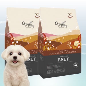 오가닉스토리 강아지사료 비숑 푸들 말티즈 알러지 눈물 가수분해 소고기, 7kg, 2개