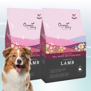 오가닉스토리 강아지사료 비숑 푸들 말티즈 알러지 눈물 가수분해 양고기, 7kg, 2개