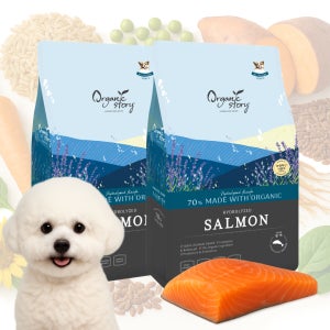 오가닉스토리 가수분해 강아지 피부 알러지 눈물 사료 연어, 2.4kg, 2개