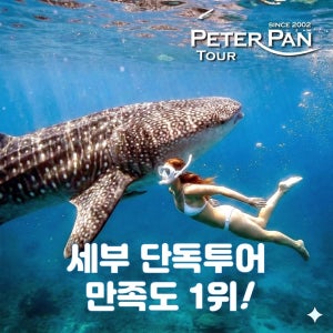 세부시티투어 오슬롭 고래상어 캐녀닝 모알보알 단독호핑 보홀육상투어 리무진밴 - 피터팬투어