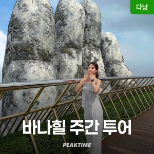 다낭 바나힐 투어 단독/조인 케이블카 입장권 마사지 왕복 픽업샌딩