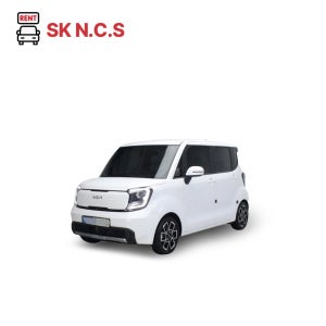 [경기,인천] 단기렌트카 레이 가솔린 2024년식 5인승 평일 종합,자차보험