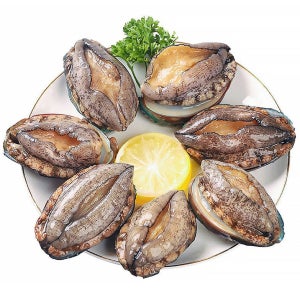 현탑수산 산지직송 완도 활전복 1kg