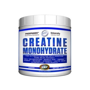 HI-TECH CREATINE 크레아틴 - 모노 하이드레이트
