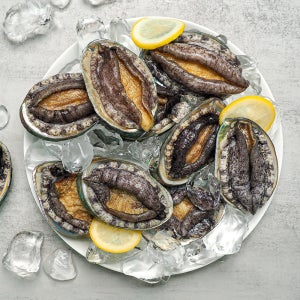 [대용량] 완도 활전복 5kg, 10kg (국산 양식)