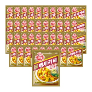 오뚜기 백세카레 매운맛, 100g, 40개