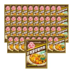 오뚜기 백세발효강황카레 순한맛, 80g, 40개