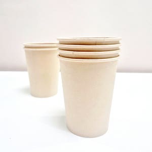 휴홈 무표백 사탕수수 종이컵 13온스 380ml, 50개입, 10개