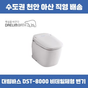 대림바스 DST-8000 비데일체형 양변기 직수압식 살균수 FULEN PISA CC8000
