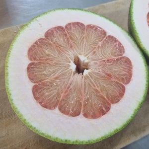 베트남 포멜로 자몽 1수 2수