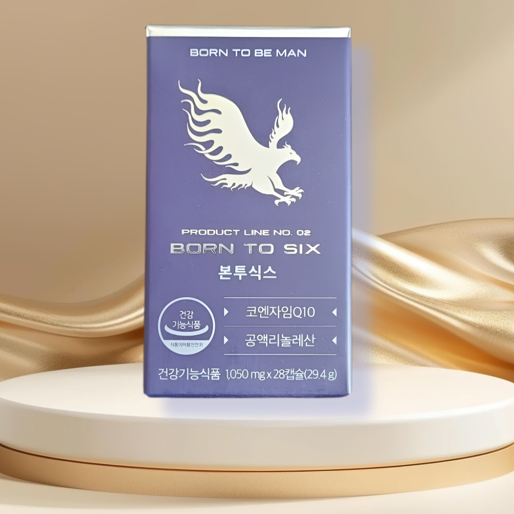 본투식스