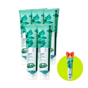 덴티스테 뉴플러스 화이트 나이트타임 입냄새 치태제거 무불소 허브치약 160g 5개+20g