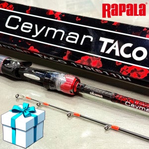 라팔라 오쿠마 세이마르 타코 문어 서해 군산 여수 남해 돌문어 피문어 162(60)MH