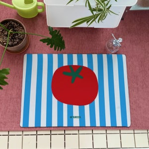 더블유그린 규조토발매트 주방 화장실 현관 미끄럼방지 빨아쓰는 매트 토마토 60x40