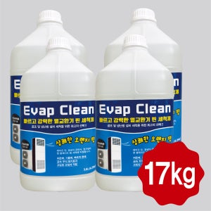 에바클린 에어컨 세척제 전문가용 곰팡이제거 특화 3.8L, 4개