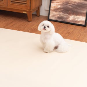 개놀자 슬림 실리콘 강아지 롤매트 애견 고양이 미끄럼방지 매트 아이보리, 140x400cm
