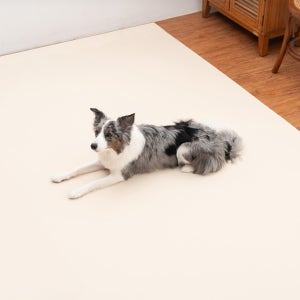 개놀자 슬림 실리콘 강아지 롤매트 애견 고양이 미끄럼방지 매트 아이보리, 110x500cm