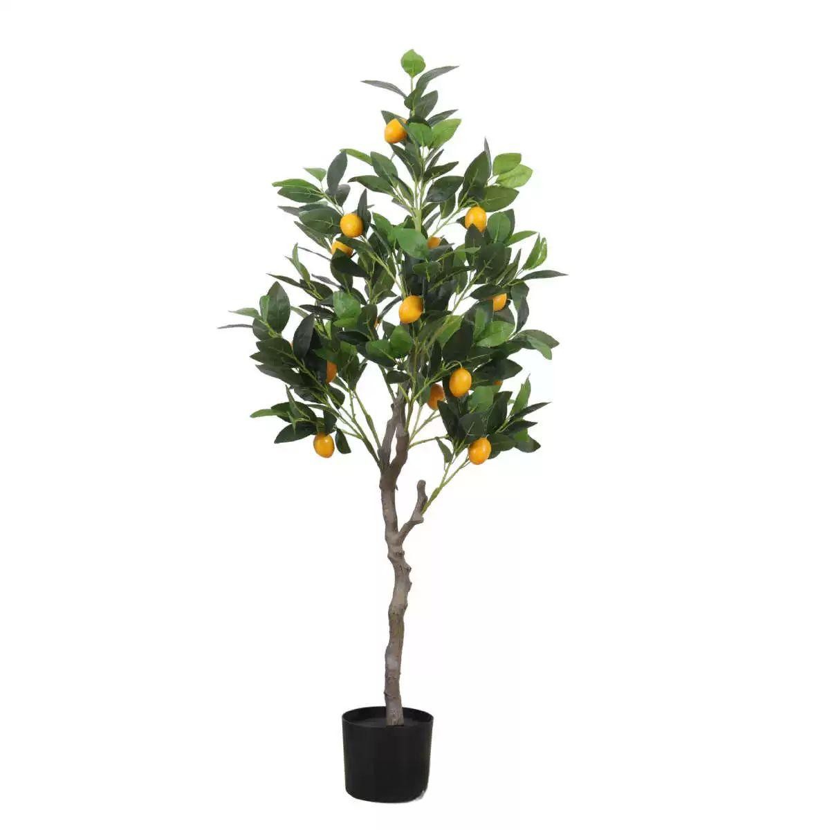 특대형 조화 금귤 귤나무 대형 유주나무 금귤나무 귤 주황 나무