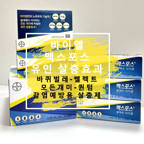 바이엘 맥스포스 바퀴벌레 (쎌렉트) / 모든 개미 (퀀텀) 바퀴약 개미약 유인살충제 보건용