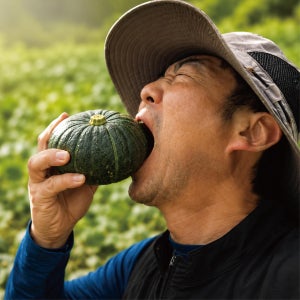 제주 노지 세척 단호박 보우짱 큐어링 완료 단호박 3kg 5kg 10kg