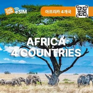 아프리카4국이심 튀니지eSIM 알제리 마다가스카르이심 4G 5G 데이터 톡톡이심