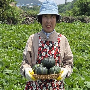 제주울엄마 직접농사지은 미니밤호박 5kg, 1개