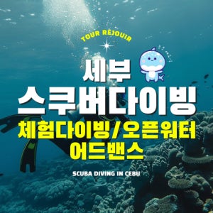 필리핀 세부 체험다이빙 오픈워터 어드밴스 스쿠버다이빙 힐링뚱안