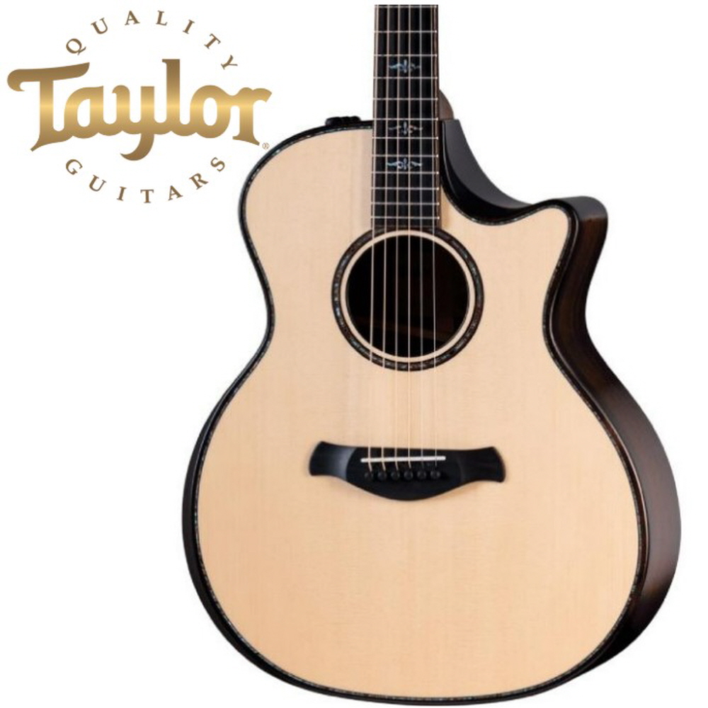 Taylor 테일러 914ce 빌더스 에디션 NAT ES2 V-Class 최신 NEW