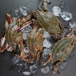 연평도 하프절단 급냉 암꽃게 / HACCP 국내산 연평도 알베기 암꽃게