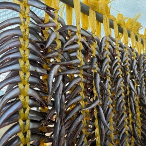 양미리 생물 반건조양미리 제철 급랭 속초 고성 까나리 생선구이