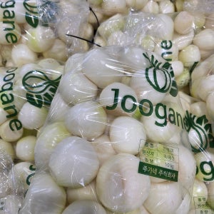 국내산 깐양파 공장직영 맛좋은 햇양파 10kg 소~B급