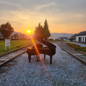 전국그랜드피아노 렌탈 대여 방송촬영